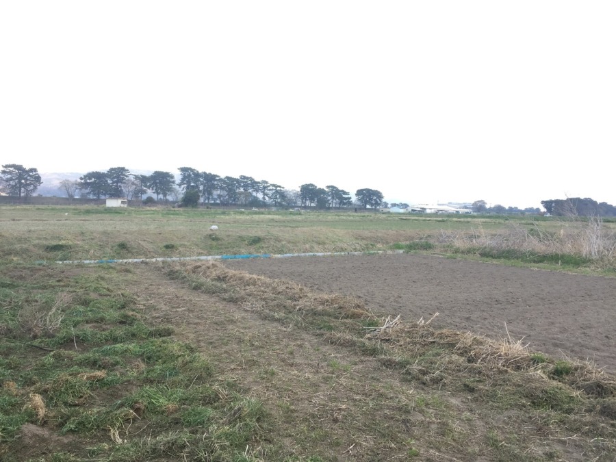 開成さかわ。草刈り＆耕耘。
