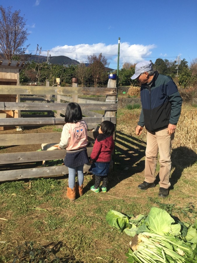 ヤギさんにエサやり