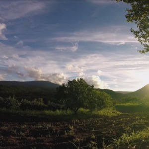 Root Farm あしがら