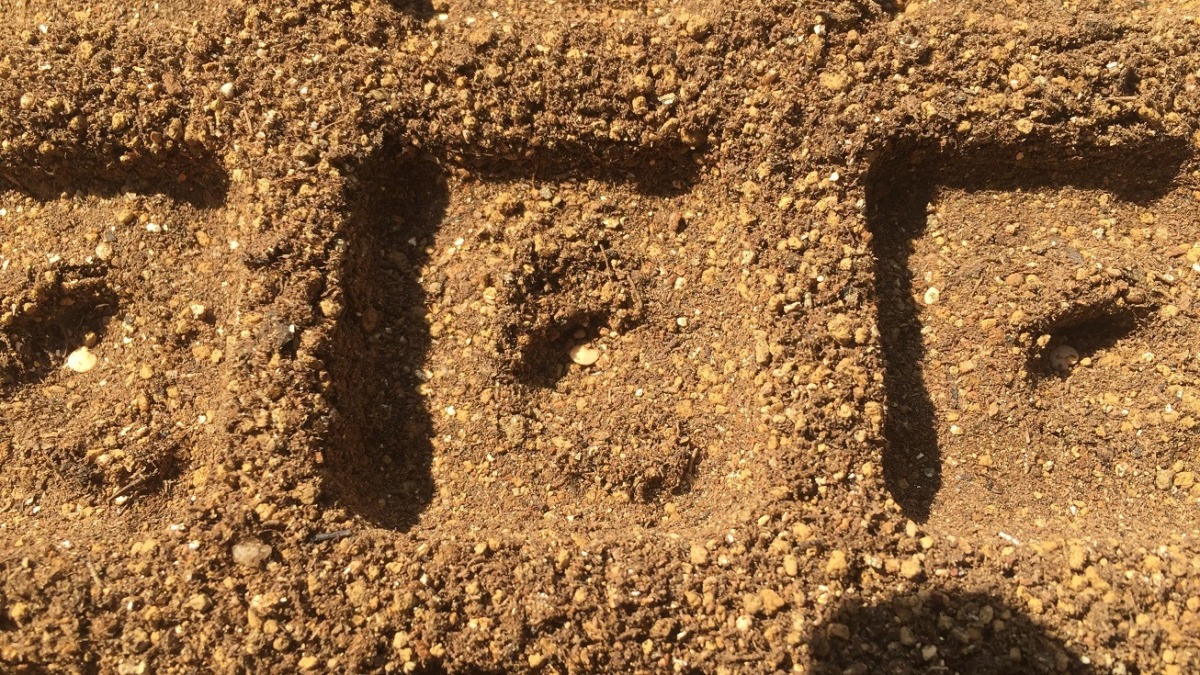 ナスです。種まき。