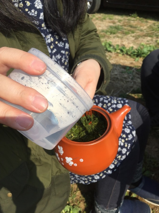 はたけで、お茶。