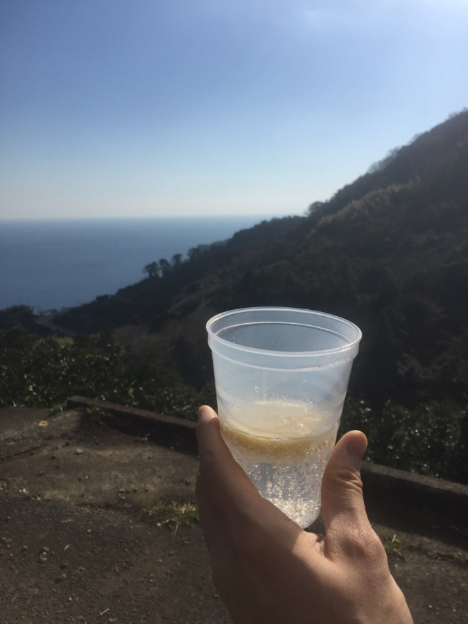 【ドリンク】もぎたてそのままレモンサイダー