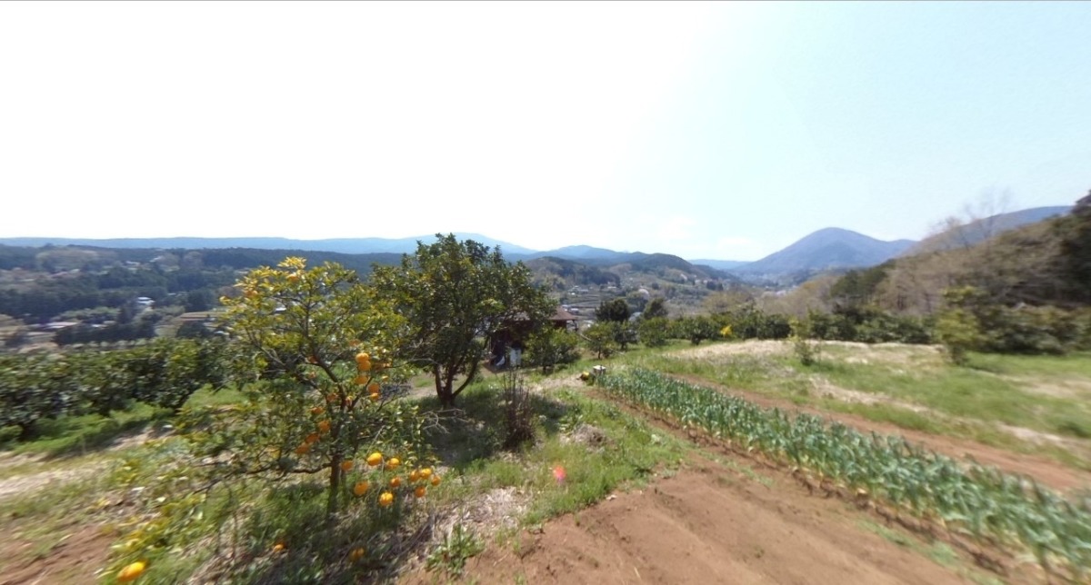 【VR】神社下・こうさいじ。