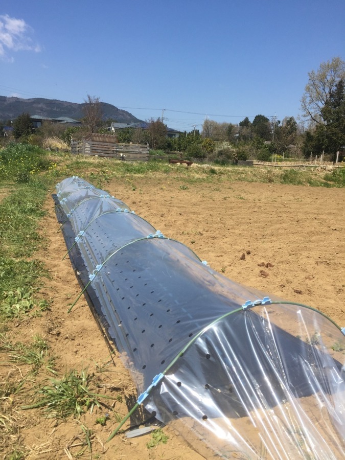 【タイムラプス】簡易育苗ハウスの設営。