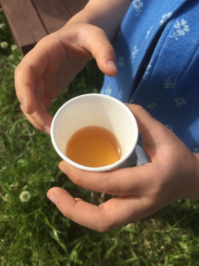 おちゃです。イベント「ほうじ茶を作る会」を開催しましたよ。