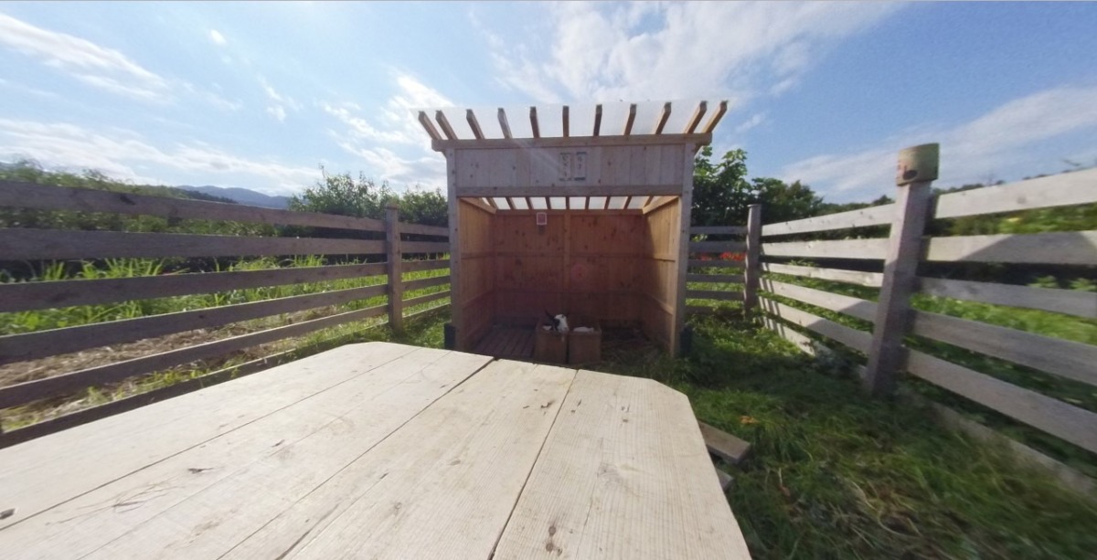 【VR】ボックスインのヤギからスタート。