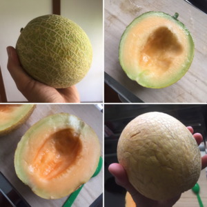 【クイズ】このメロン、甘い？甘くない！？