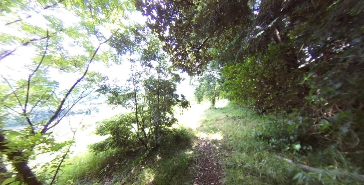 【VR】足柄神社下