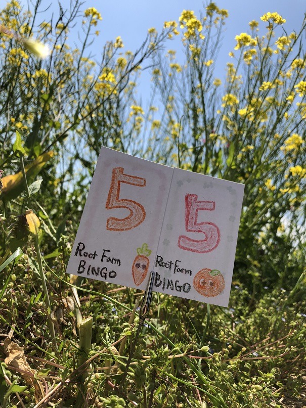 ビンゴ数字発表：4/28（No.10）