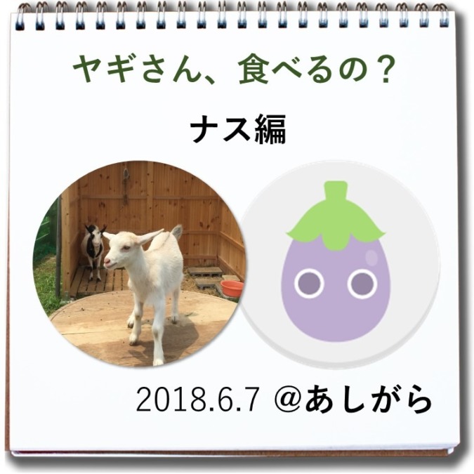 ヤギさん食べるの？ナス編