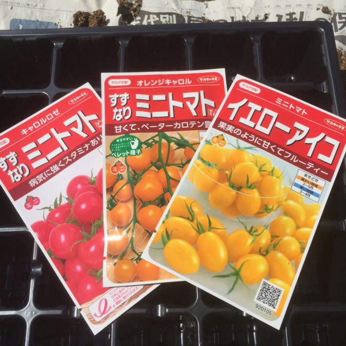 トマトです。ミニ系の種をまきます。