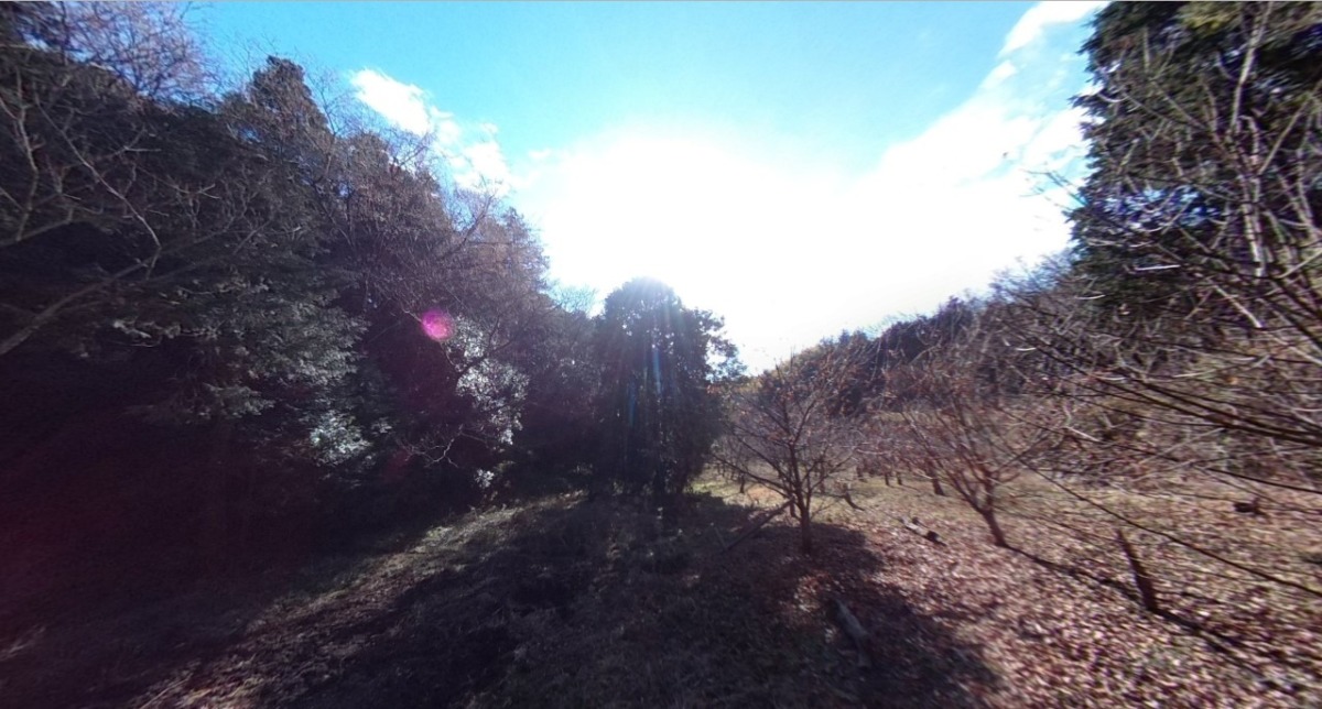 【VR】猪です。罠猟場をご案内。