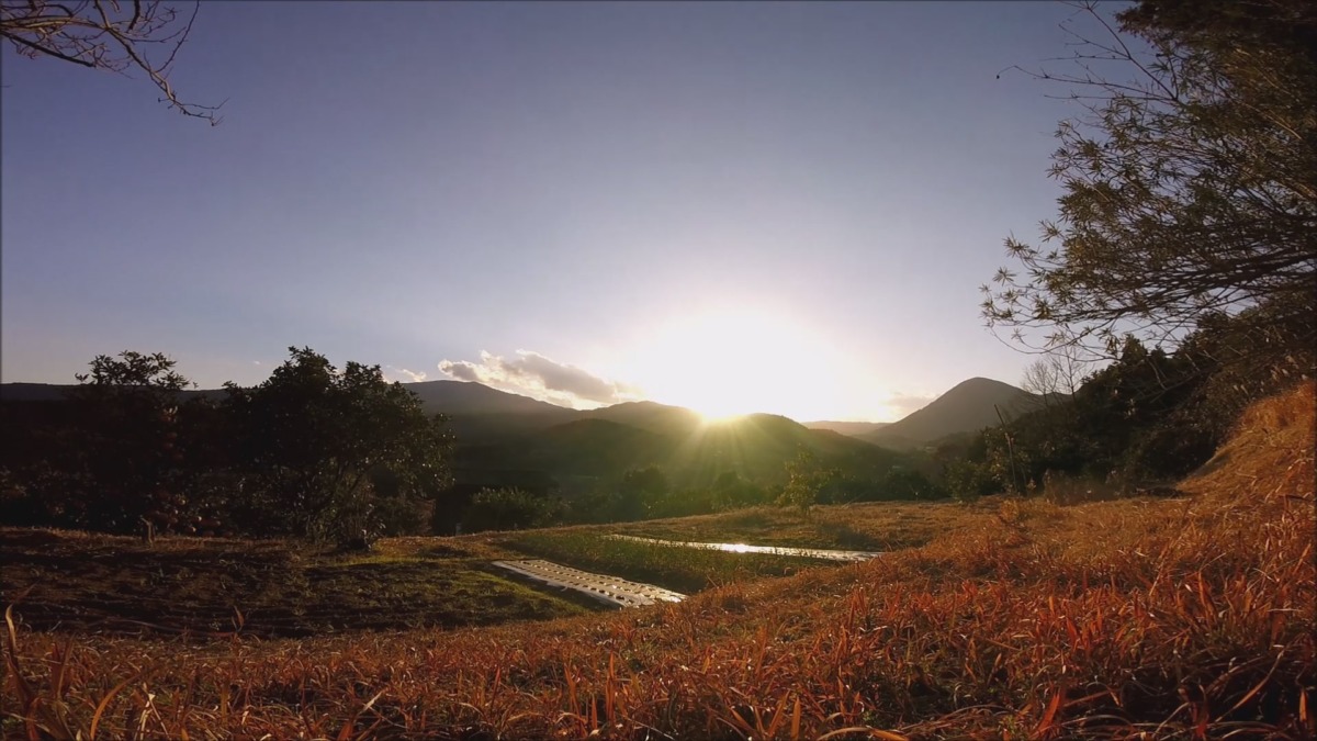 【タイムラプス】足柄神社下