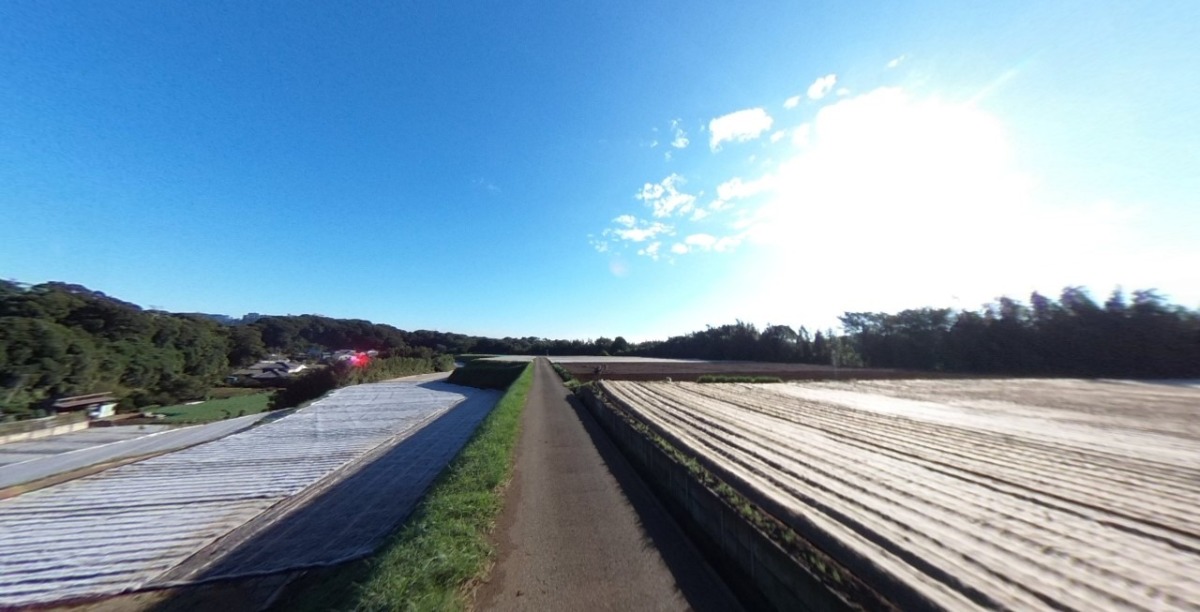 【VR】みうら。大根です。開始。