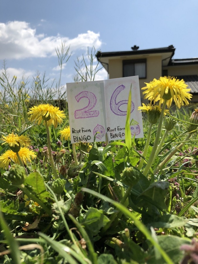 ビンゴ数字発表：4/29（No.11）