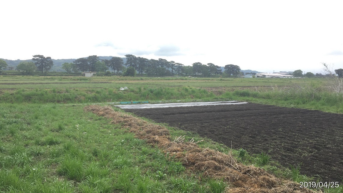 【VR】開成さかわ