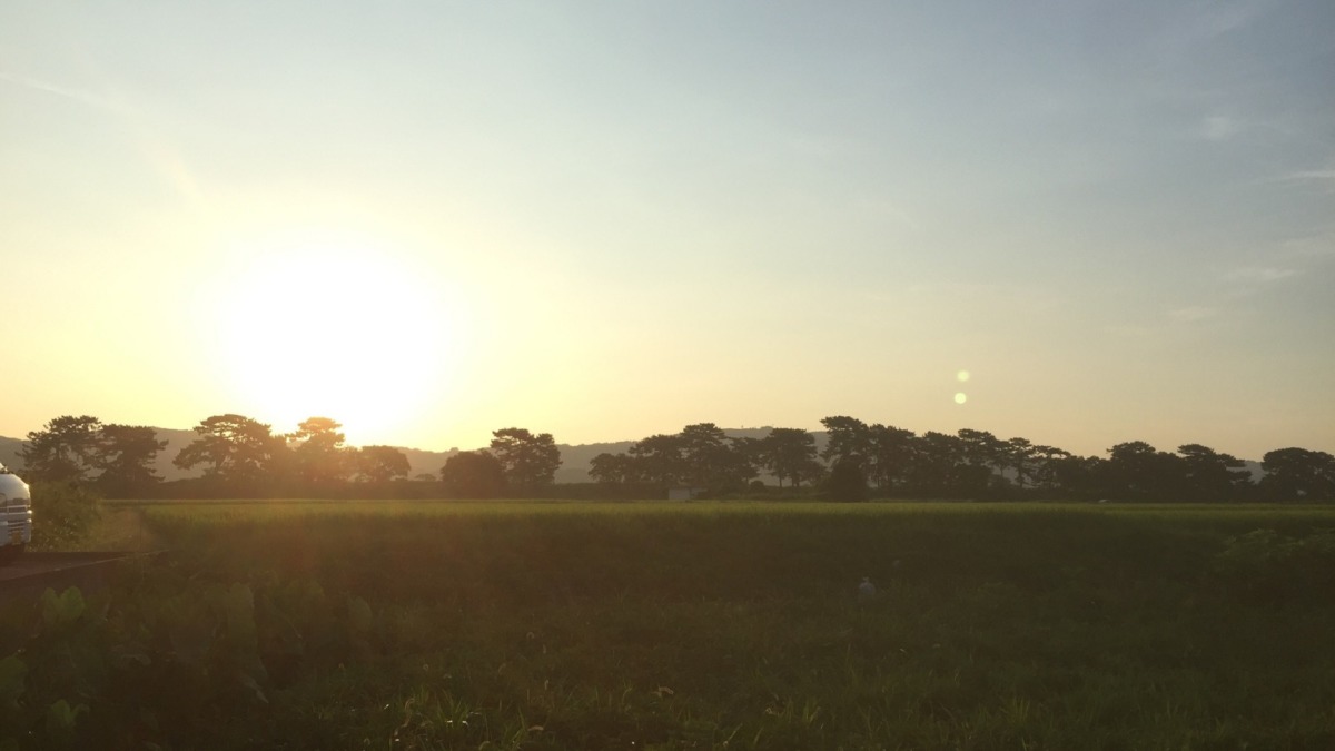 【タイムラプス】開成さかわ