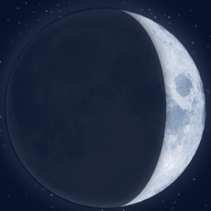 【ムーンスコア】にんにくの場合