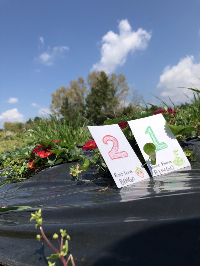 ビンゴ数字発表：4/22（No.4）