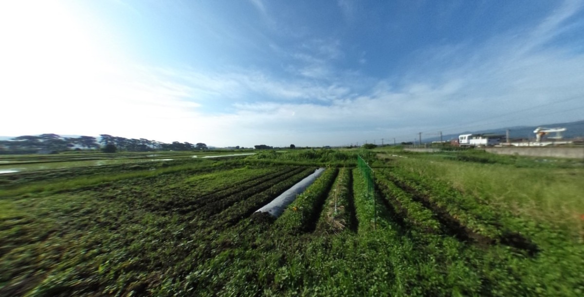 【VR】開成さかわ。