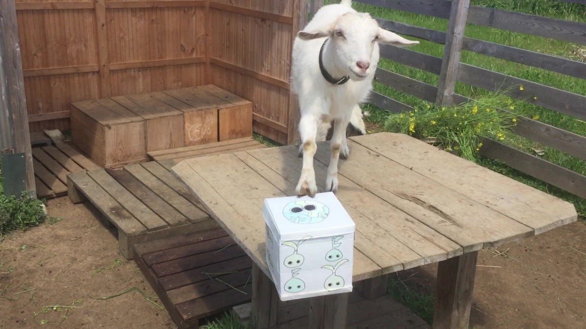 ビンゴ数字発表：4/19（No.1）