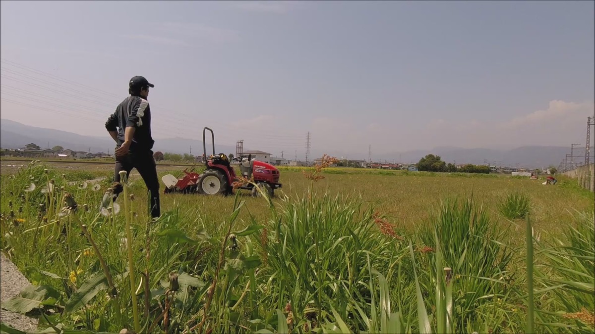 おこめです。小田原かやまの水田を耕し。
