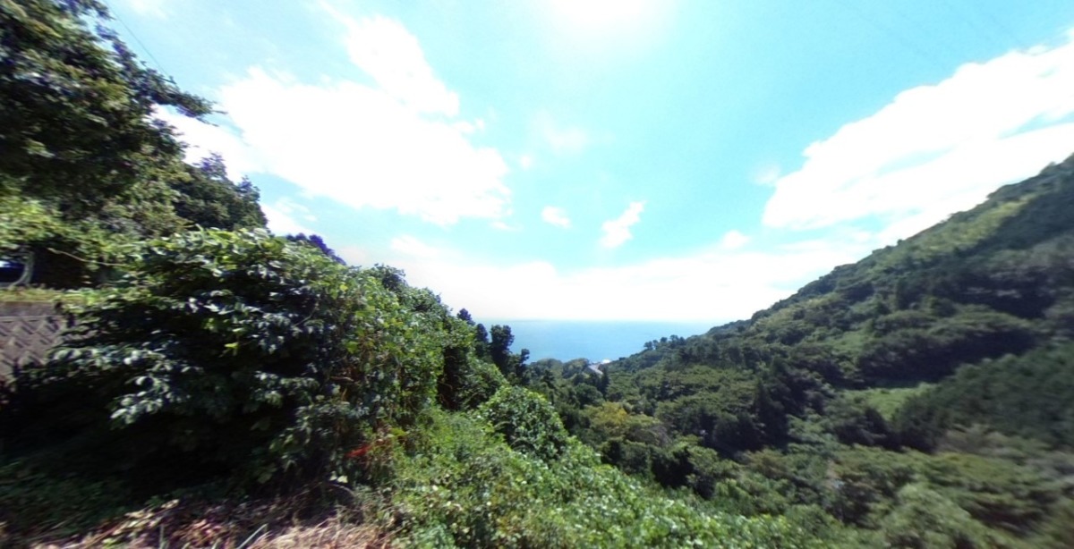 【VR】小田原かたうら