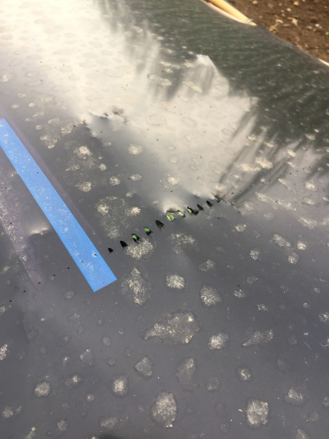 下からツンツンされてる部分を開けると？※要CLICK※