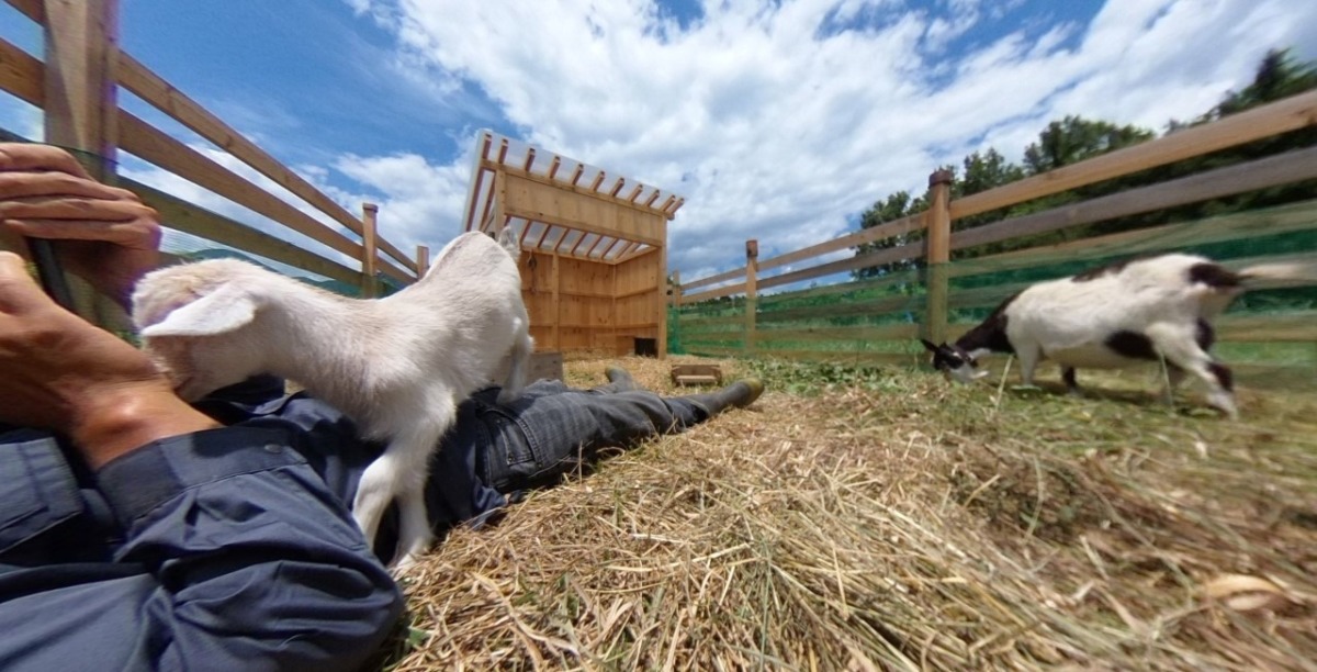 【VR】生後20日のルナが、ご案内。