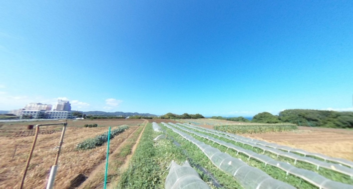 【VR】みうら、夏