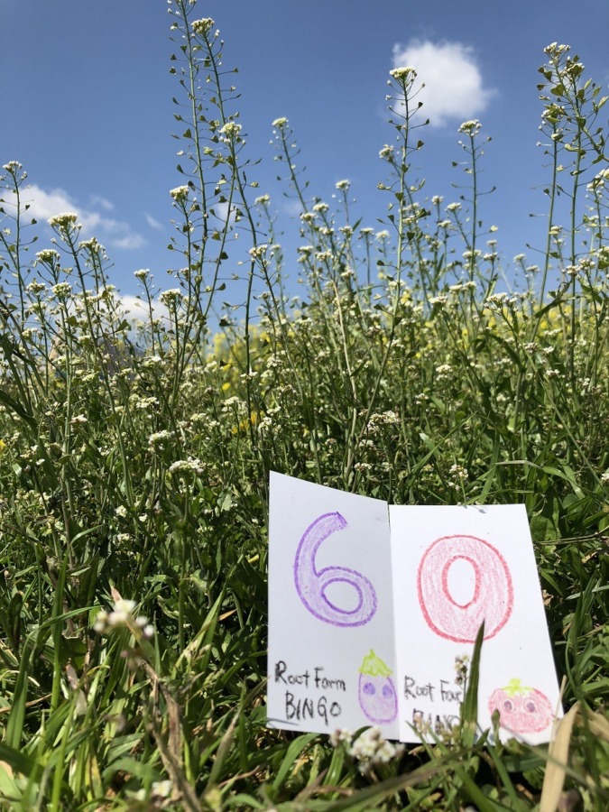 ビンゴ数字発表：4/25（No.7）