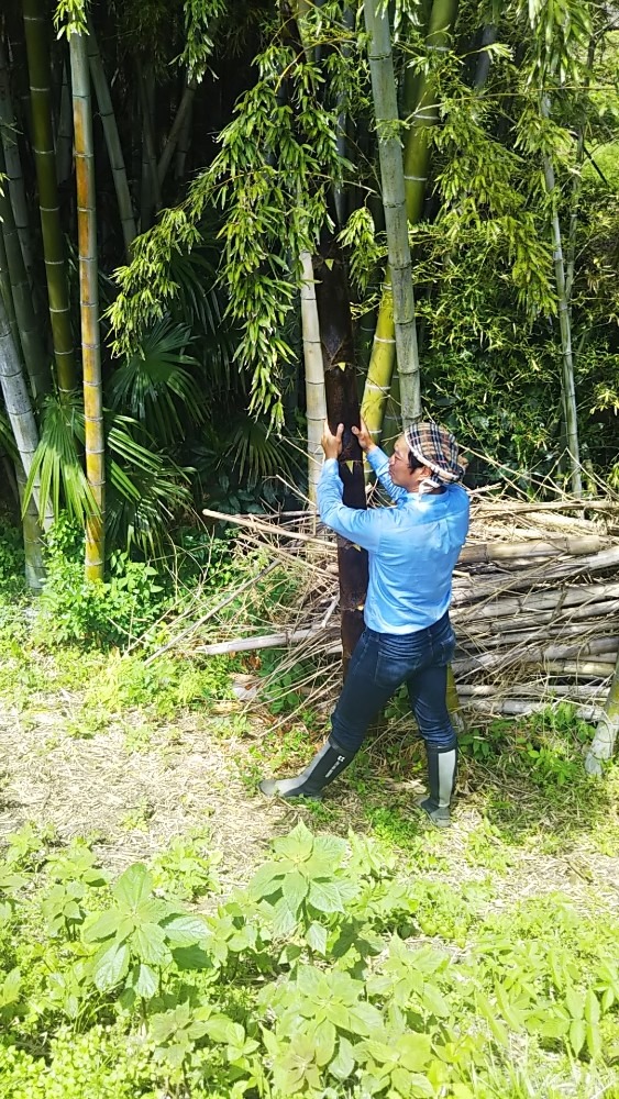 5月5日の背比べ