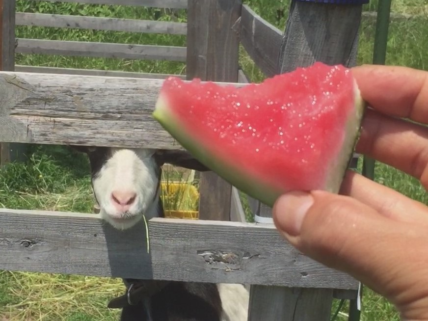 ・・・まさか。