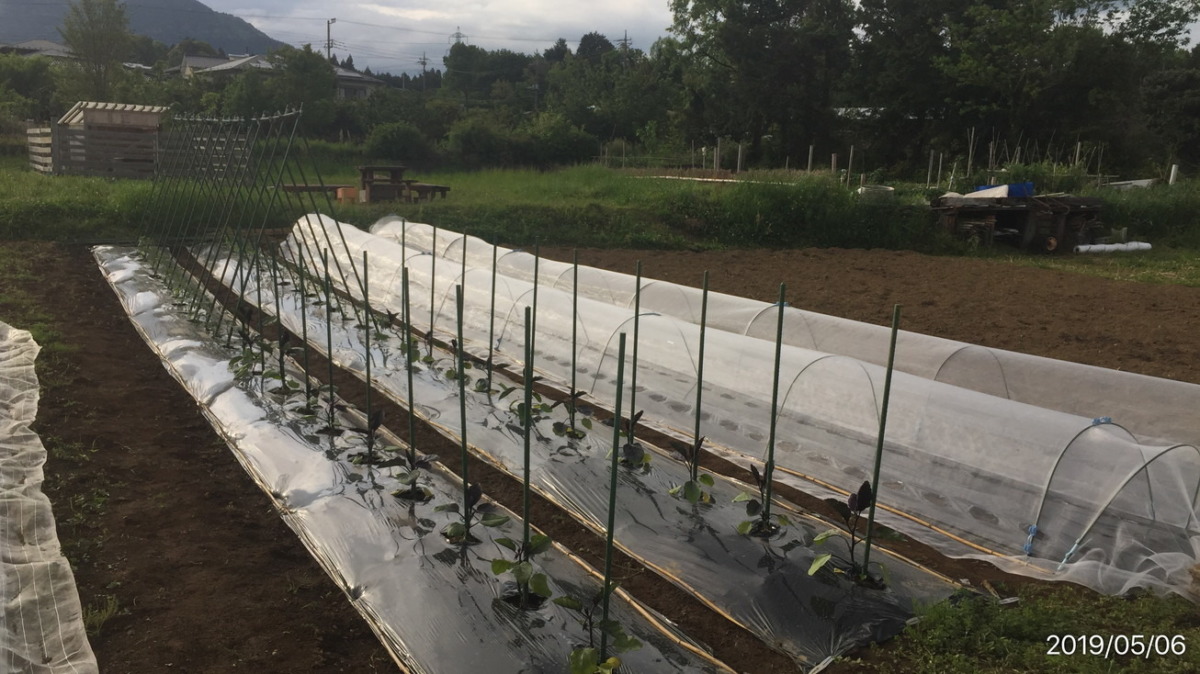 【タイムラプス（ロング）】5/4~5/6