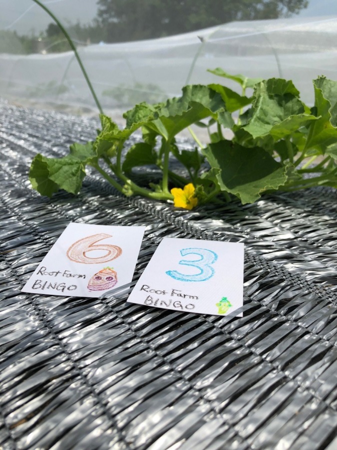 ビンゴ数字発表：5/31（No.43）