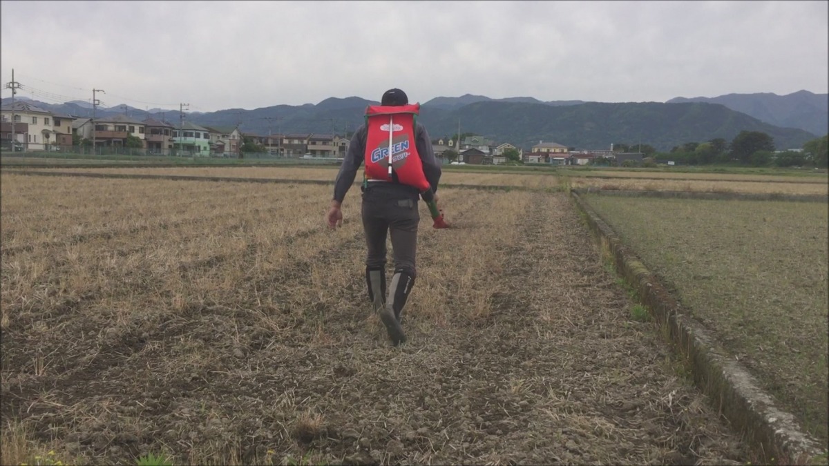 おこめです。肥料散布。”一発”なので、これ一回きりですよ。