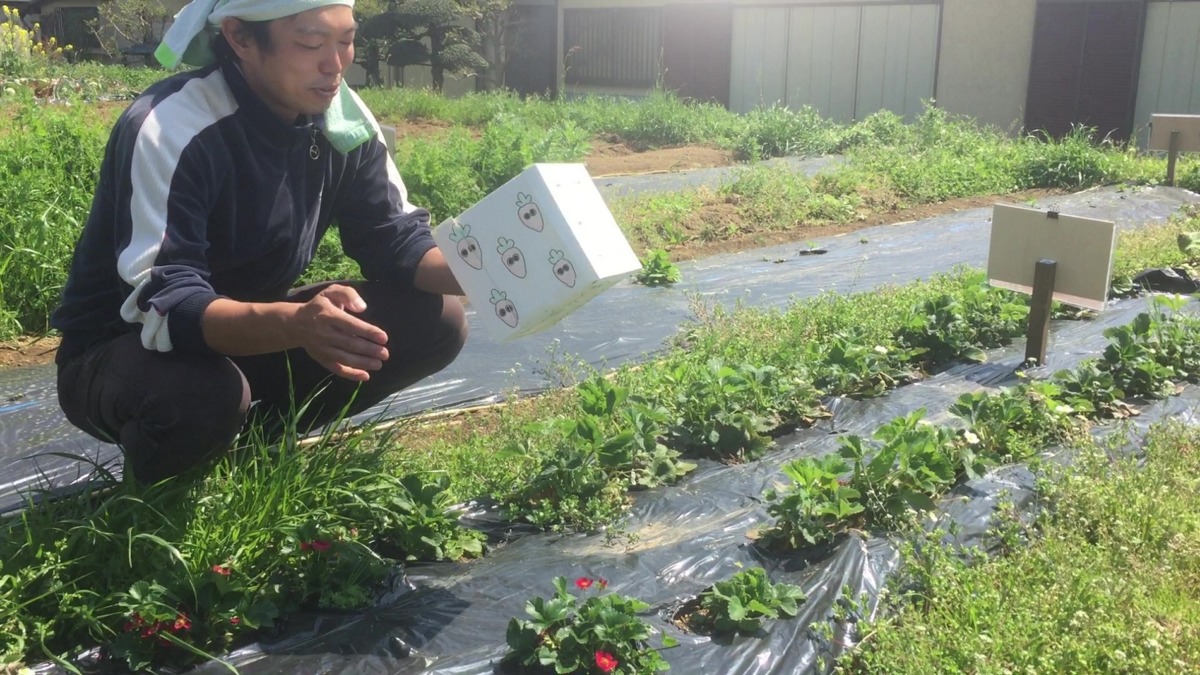 ビンゴ数字発表：5/9（No.21）