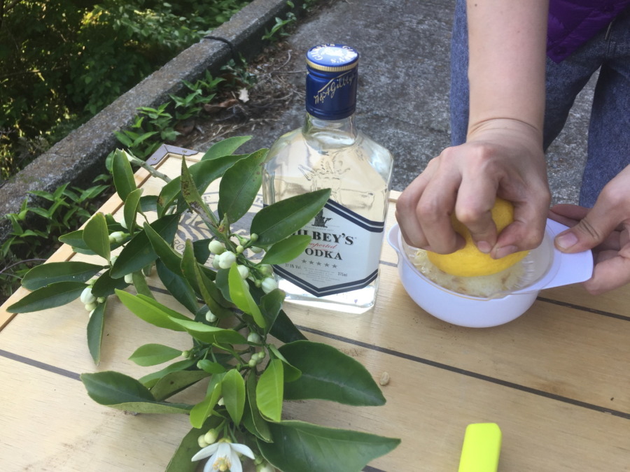 海を眼下に、もぎたてレモンで「ウォッカカクテル」