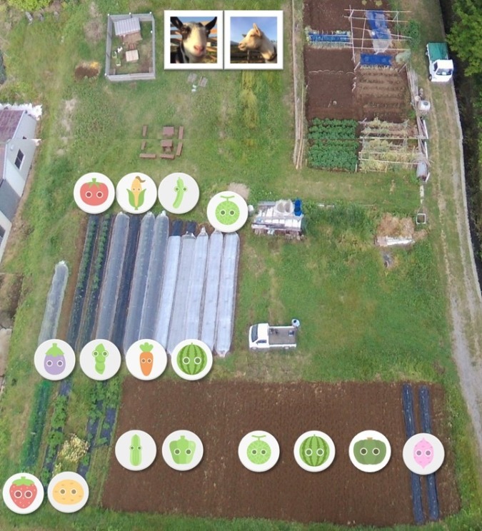 【ドローン空撮】足柄こうさいじの今