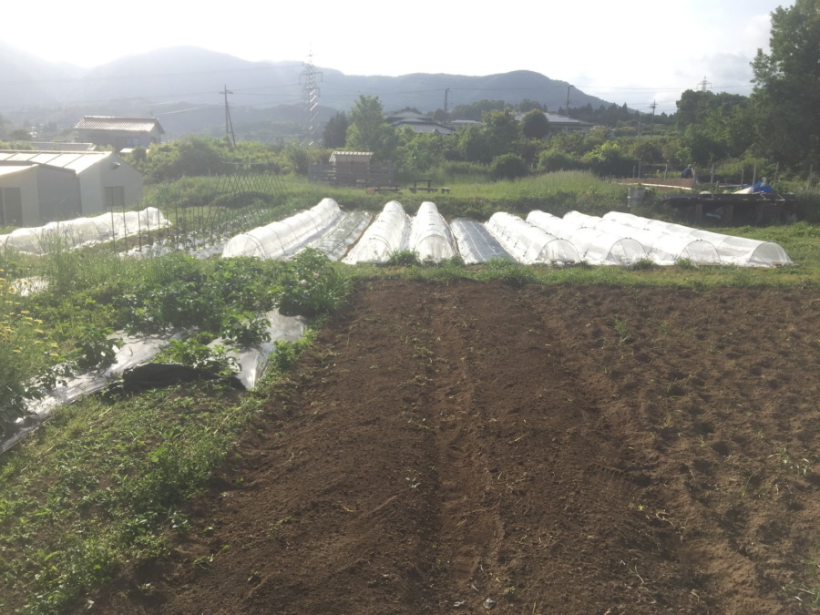 はたけ全景。共用スペースの夏野菜植え付け、完。