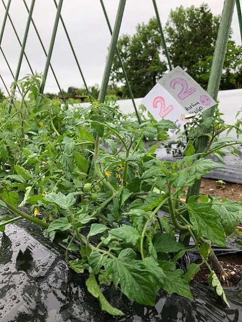 ビンゴ数字発表：5/22（No.34）