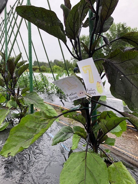 ビンゴ数字発表：5/21（No.33）