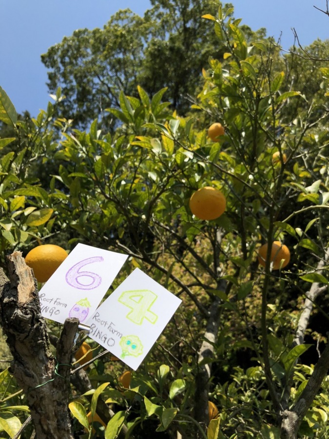 ビンゴ数字発表：5/7（No.19）