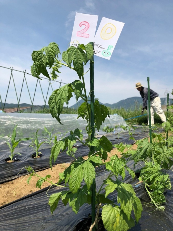 ビンゴ数字発表：5/27（No.39）