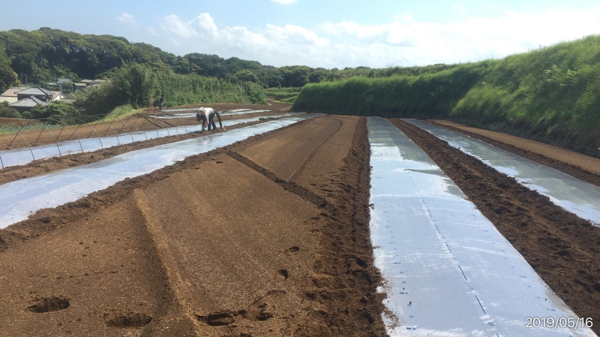 【タイムラプス】はたけしごと＠みうら