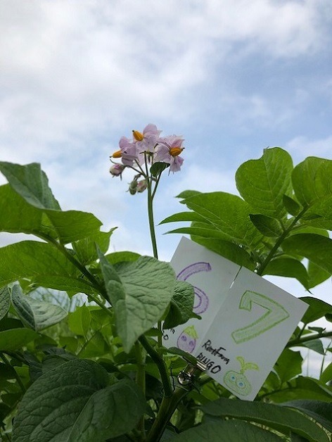 ビンゴ数字発表：5/15（No.27）