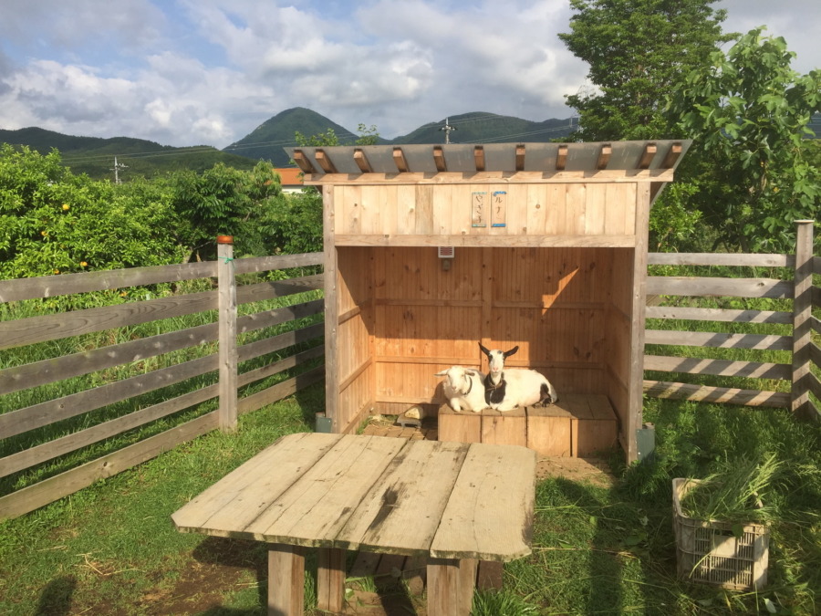 ルナです。お母さん、寝てる。。。