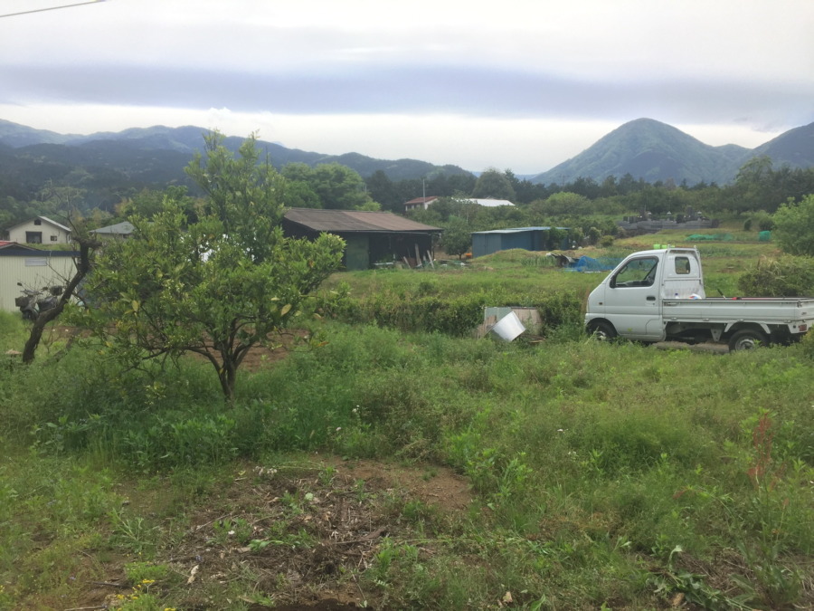【はたけしごと】苗の定植の準備。ここに植わります。