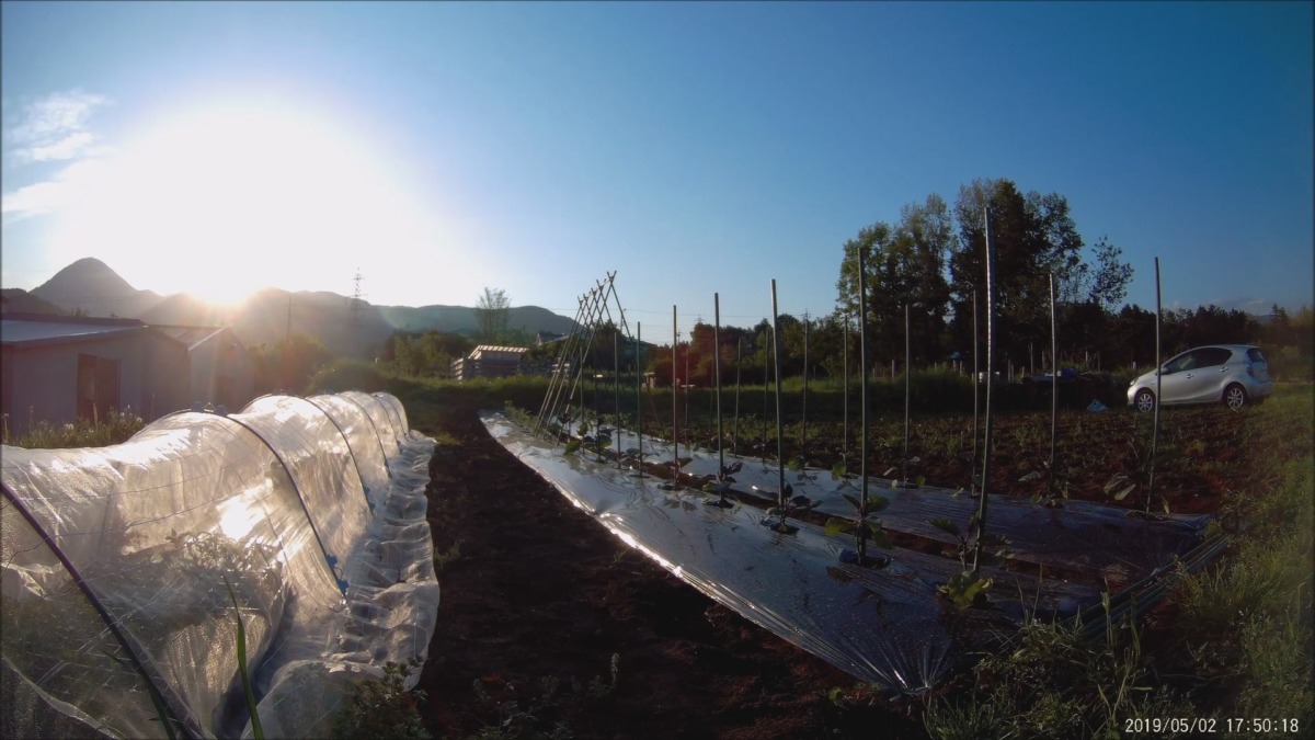 【タイムラプス】はたけしごとの様子と、ダイナミックな雲の動き。