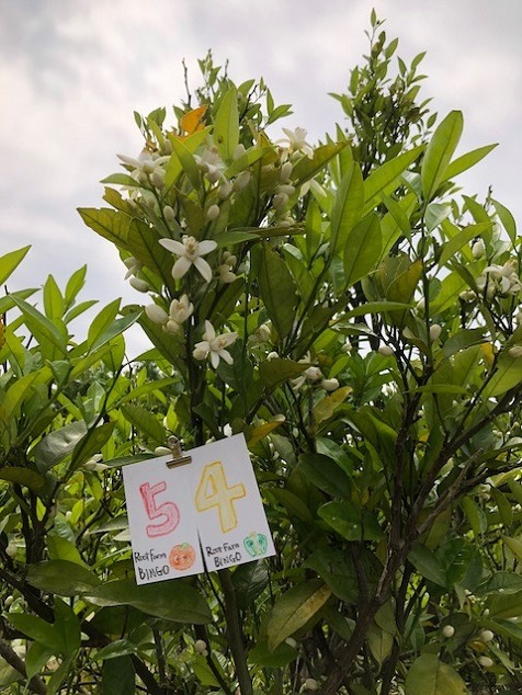 ビンゴ数字発表：5/18（No.30）